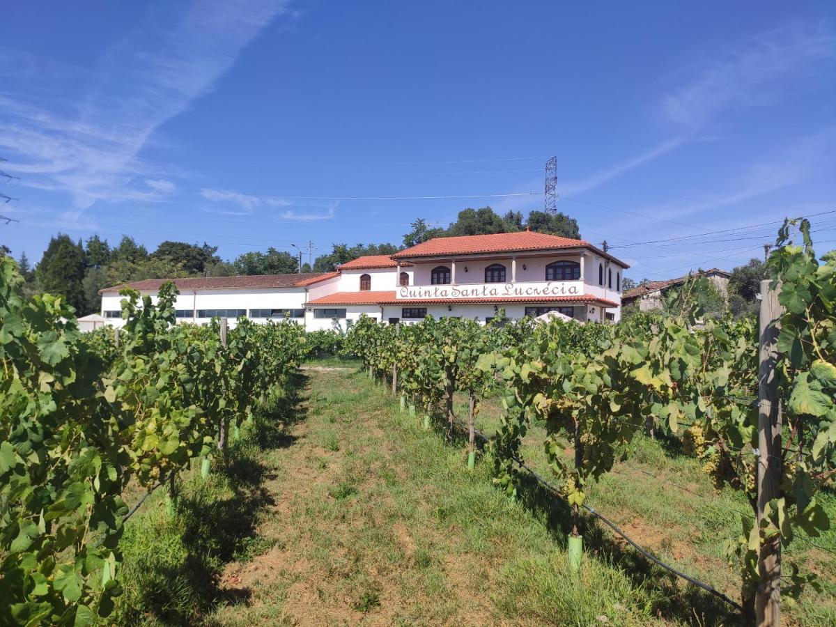 Villa Quinta Santa Lucrécia Braga Exterior foto